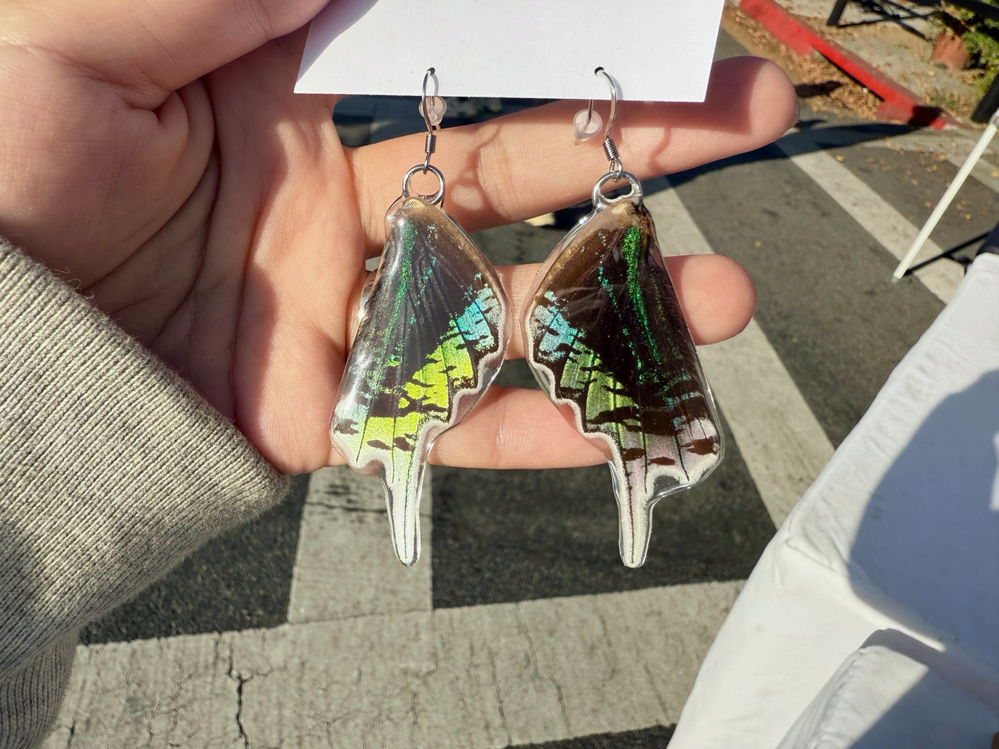 Real Urania leilus Moth Butterfly
Earrings