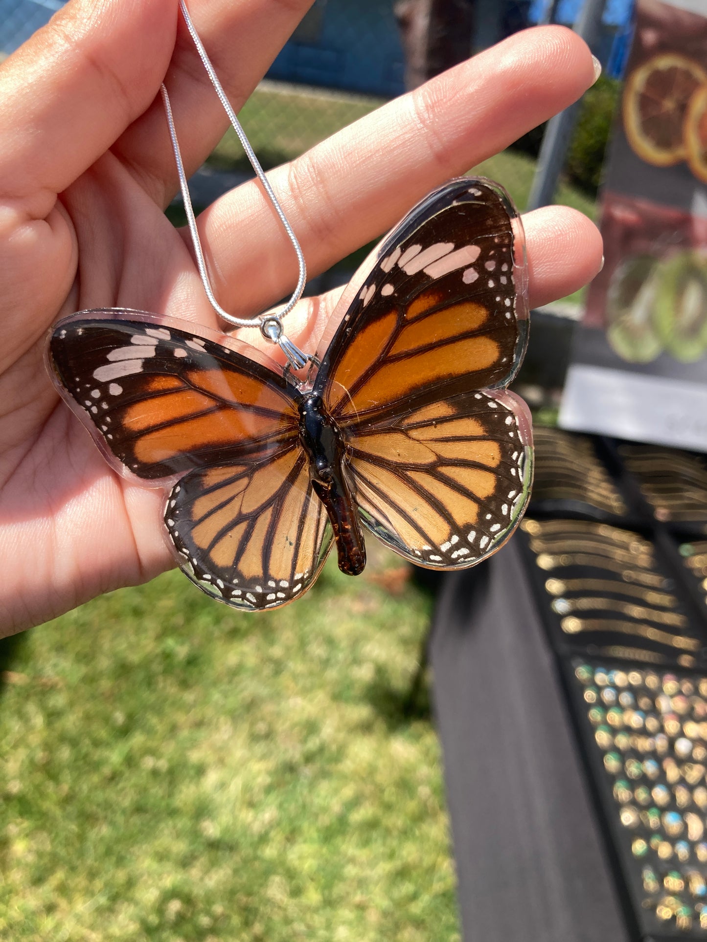Real monarch butterfly butterfly necklace Jewelry