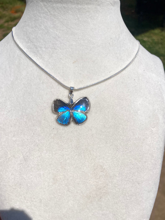 Real butterfly necklace