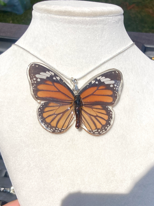 Real monarch butterfly butterfly  necklace Jewelry