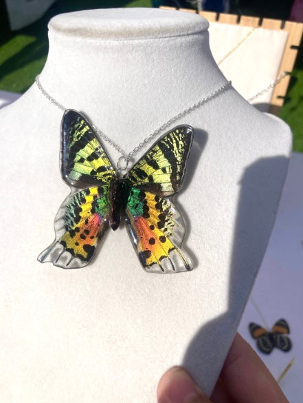 Sun moth butterfly necklace