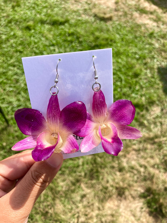 purple orchid flower