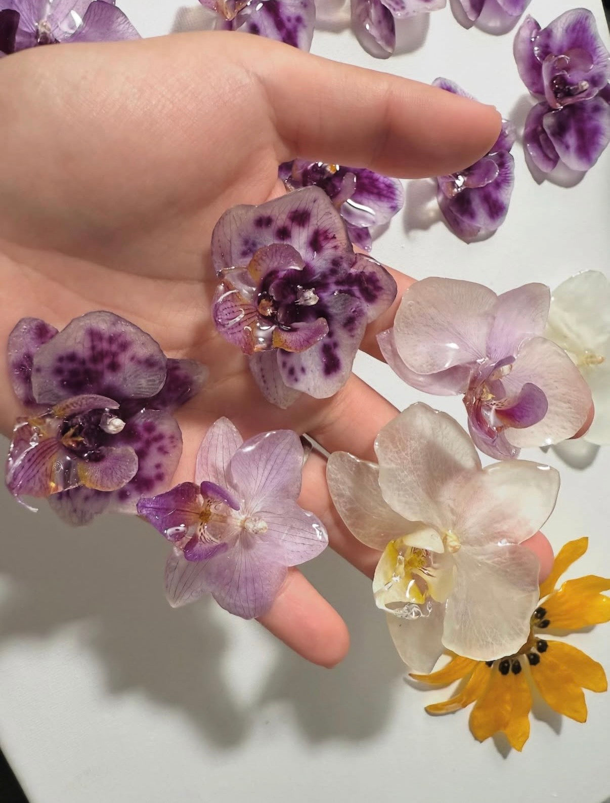 Wholesale