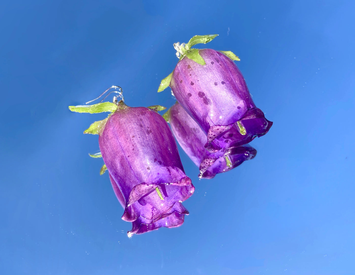 Violet Campanula flower - Nalan studio 