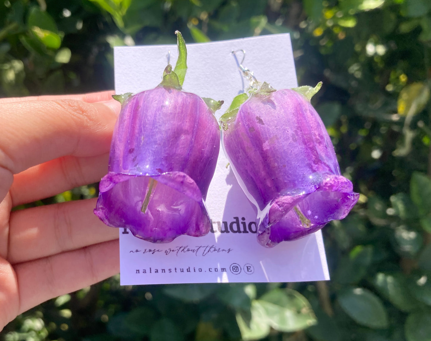 Violet Campanula flower - Nalan studio 