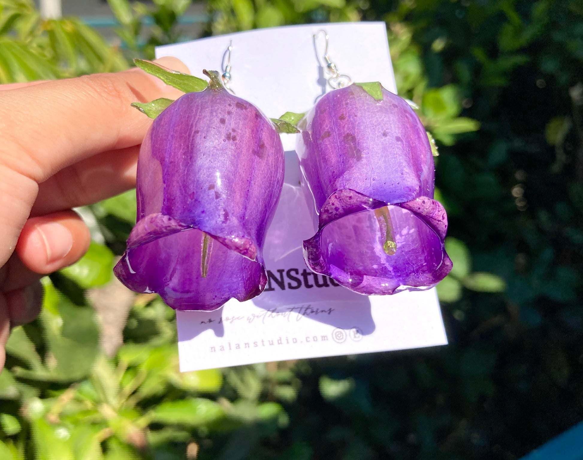 Violet Campanula flower - Nalan studio 